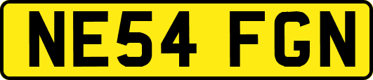 NE54FGN