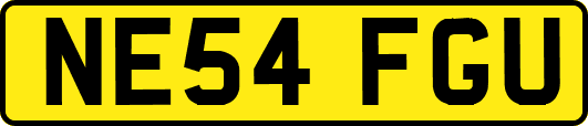 NE54FGU