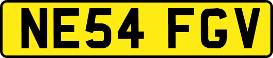NE54FGV