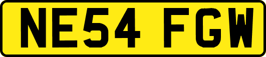 NE54FGW