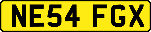 NE54FGX