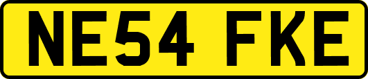 NE54FKE