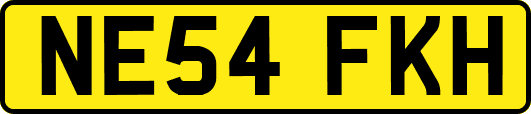 NE54FKH