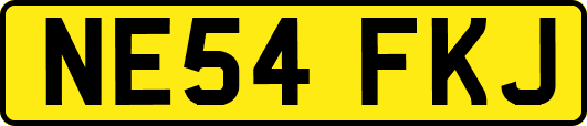 NE54FKJ