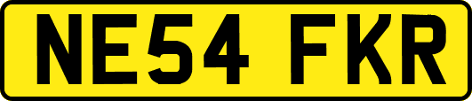 NE54FKR