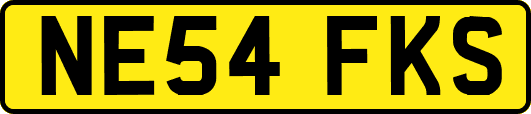NE54FKS