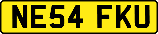NE54FKU