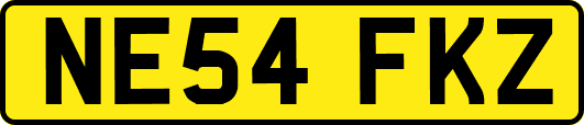 NE54FKZ
