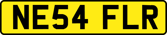 NE54FLR