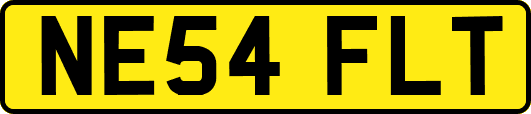NE54FLT