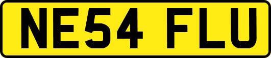 NE54FLU