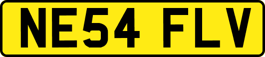 NE54FLV