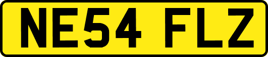 NE54FLZ