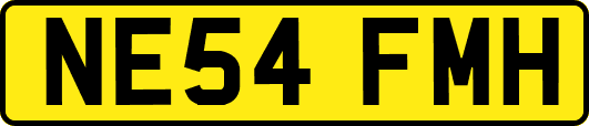 NE54FMH