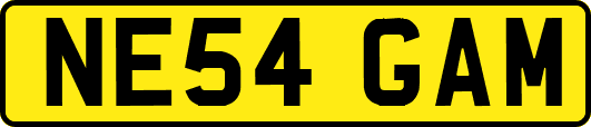 NE54GAM
