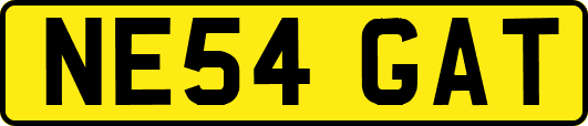 NE54GAT