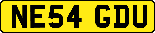 NE54GDU