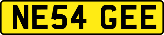 NE54GEE