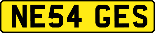 NE54GES