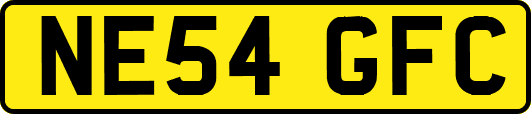 NE54GFC