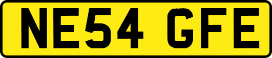 NE54GFE
