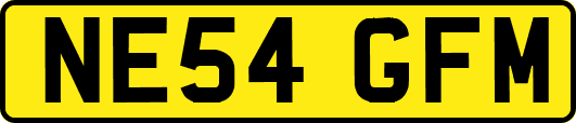 NE54GFM