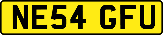 NE54GFU