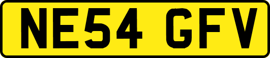 NE54GFV