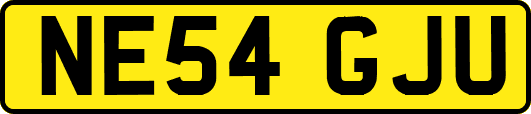 NE54GJU