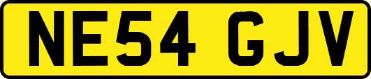 NE54GJV