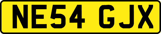 NE54GJX