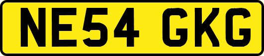 NE54GKG