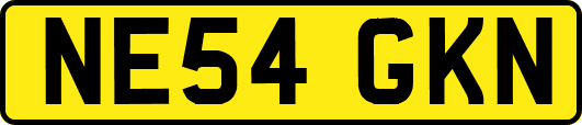NE54GKN