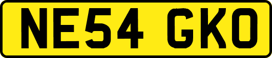 NE54GKO