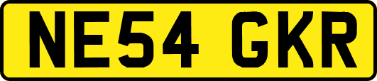 NE54GKR