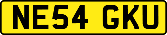 NE54GKU