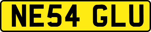NE54GLU