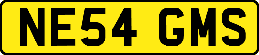 NE54GMS