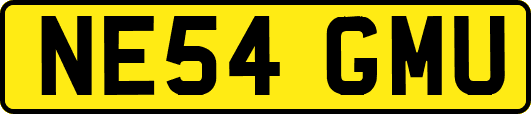 NE54GMU