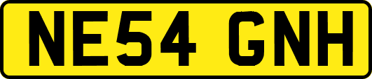 NE54GNH