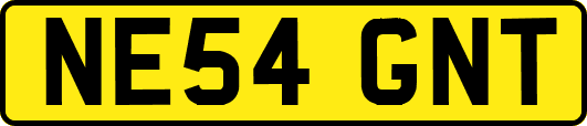 NE54GNT