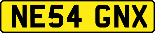 NE54GNX