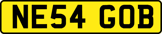 NE54GOB