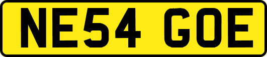 NE54GOE