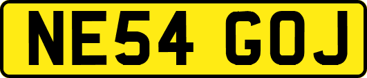 NE54GOJ