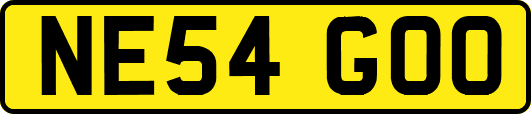 NE54GOO