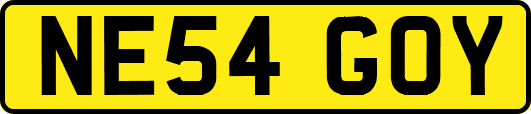 NE54GOY