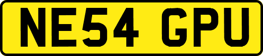 NE54GPU