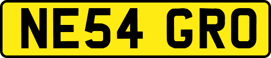 NE54GRO