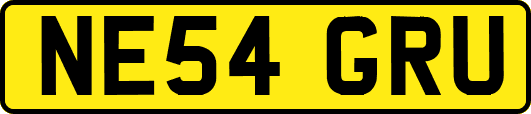 NE54GRU